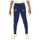 Nike Παιδικό παντελόνι φόρμας Paris Saint-Germain Academy Dri-FIT Pants